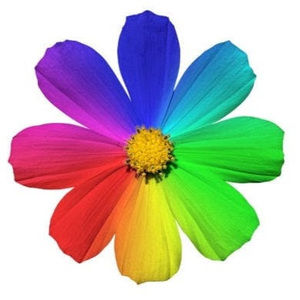 Meet your Posher, Krista